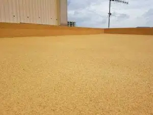 Corcho Proyectado precio cubo 10 kg 6 IMG 20200910 WA0016