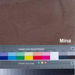 Colores microcemento mina